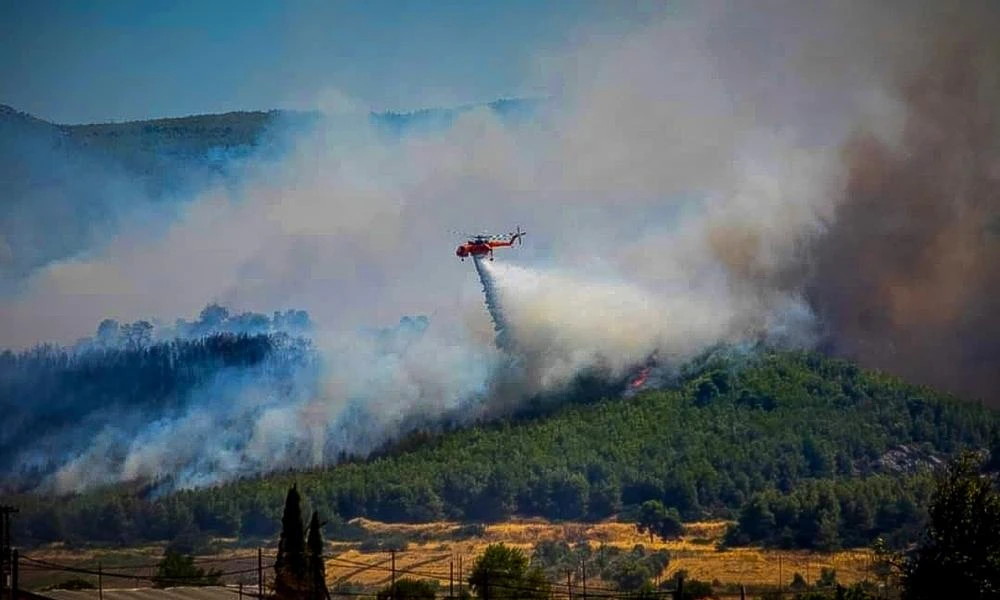 Τρίκαλα: Φωτιά σε χωράφι - Άμεση ήταν η κινητοποίηση της πυροσβεστικής